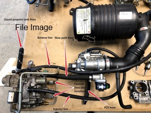 LPG components