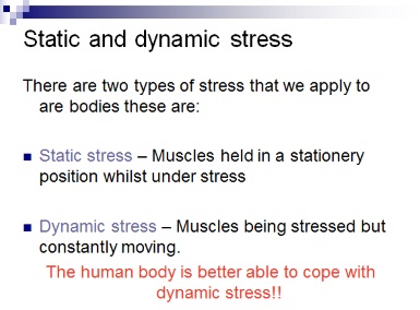 static and dynamic stress